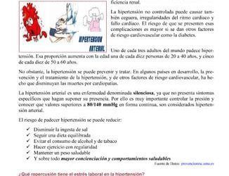 El Picador -extra prevención 8-