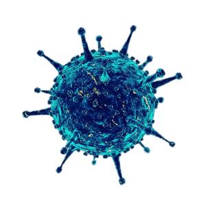 coronavirus_virus