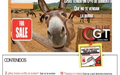 El Picador -noviembre 2024-