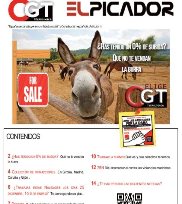 El Picador -noviembre 2024-